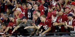 Arizona Cardinals fans cheer during the first half of an NFL football game against the Cincinnati Bengals, Sunday, Nov. 22, 2015, in Glendale, Ariz. (AP Photo/Ross D. Franklin)