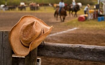 What To Wear When Attending Your First Rodeo