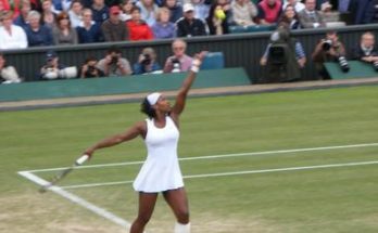 wimbledon champions