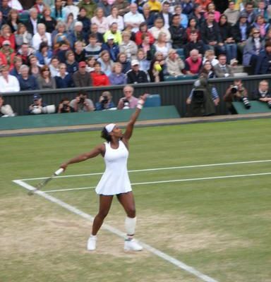 wimbledon champions