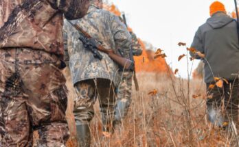 4 Safety Tips To Know When Hunting Predators