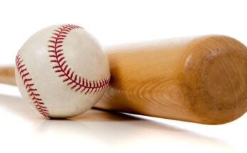 A light-colored wooden baseball bat sits on a blank, white surface. A baseball sits next to the bat.