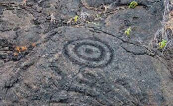 A fascinating circular petroglyph is inscribed in lava rock with bits of grass and other plant life nearby.