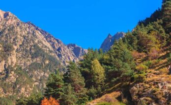 A beautiful spring day in the North Georgia mountains. The sky is clear blue and the foliage is changing.