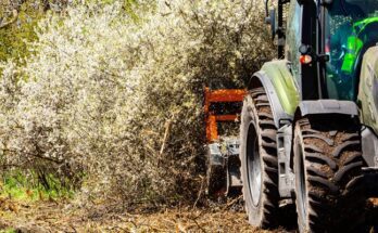 A small tractor is using an orange attachment to help clear brush from a wooded area on the property.