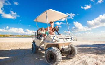 A man and child sit in a golf cart, enjoying a sunny day at the beach. The sky is bright with a few scattered clouds.
