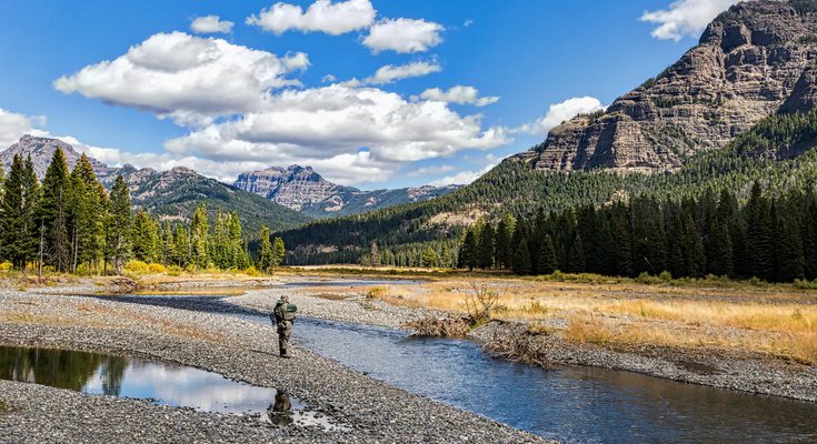 A solo angler stands on the banks of the Lamar River fly fishing in Yellowstone National Park on a sunny day.